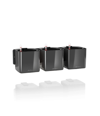 lechuza vazonai gelems