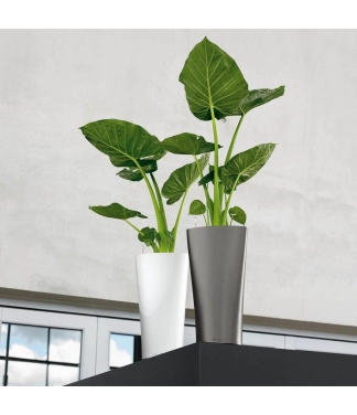 rudas geliu vazonas lechuza