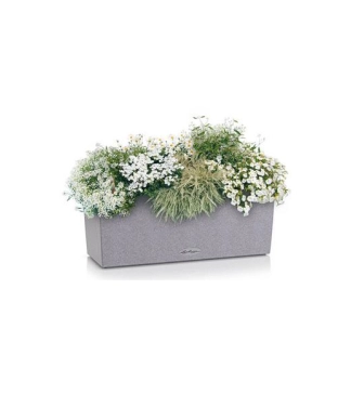 lechuza lovelis gėlėms balconera