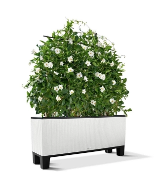 Lechuza Trio Cottage ніжки для вазонів