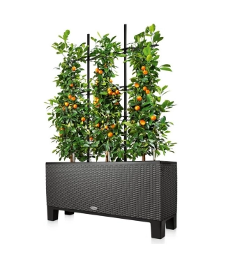 Lechuza Trio Cottage решітка для вазонів