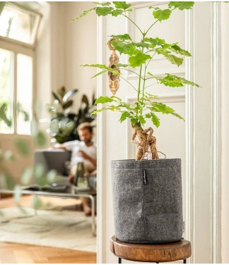 Розумний вазон Lechuza TRENDCOVER Фетр