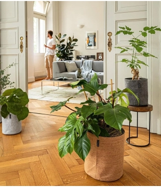 Розумний вазон Lechuza Trendcover корковий