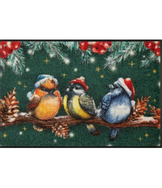 Kalėdinis durų kilimėlis Magic Birds 