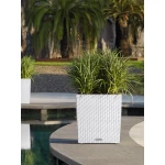 Стильний вазон Lechuza Cube Cottage 40 1