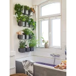 vazonas gelems lechuza 4