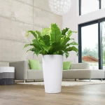 Елегантний вазон Lechuza Rondo 2