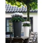 Стильний циліндричний вазон Lechuza Cilindro Color 1