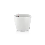 Яскравий вазон Lechuza Classico Color