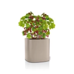 Стильний вазон Lechuza Pila 4