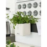 gėlių vazonas mažas baltas 6