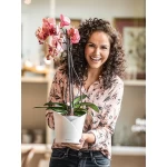 Кашпо для орхідей Lechuza Orchidea 5