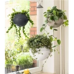 Підвісний вазон Bola Colour 2