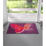 plaunami duru kilimeliai su drugeliu 1