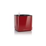 raudonas vazonas lechuza 1