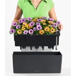 lovelis gelems su gelemis 12