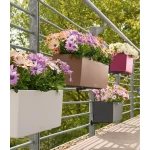 loveliai gelems lechuza 3