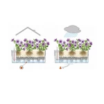 lechuza balconera ismatavimai 7