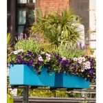 plastikiniai vazonai lechuza interjere 8