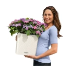 lauko vazonai gelems 5