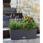 Ящик для квітів Lechuza Balconera Cottage 50 1