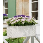 Ящик для квітів Lechuza Balconera Cottage 50 1
