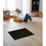 Stilingas durų kilimėlis Raven Black 2