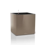 rudas lechuza canto premium vazonas