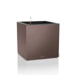 lechuza vazonas rudas canto premium