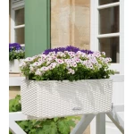 lechuza baltas lovelis gelems 8