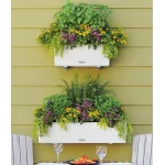 lovelis gelems lechuza balconera 9