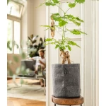 Розумний вазон Lechuza TRENDCOVER Фетр 1