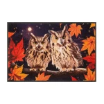 Durų kilimėlis su pelėdomis Night Owls