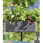 Пластиковий ящик для квітів Lechuza Balconissima Color