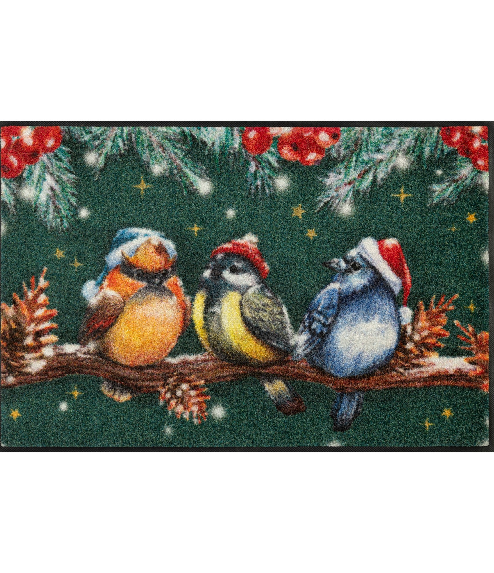 Kalėdinis durų kilimėlis Magic Birds 