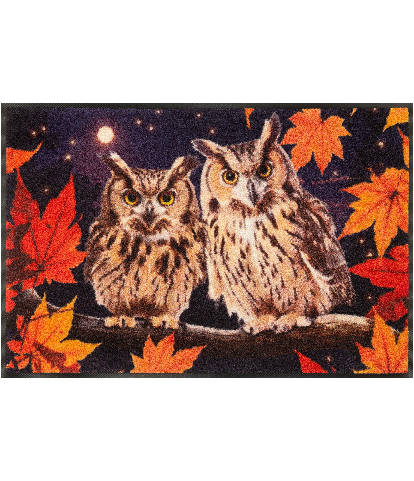 Durų kilimėlis su pelėdomis Night Owls