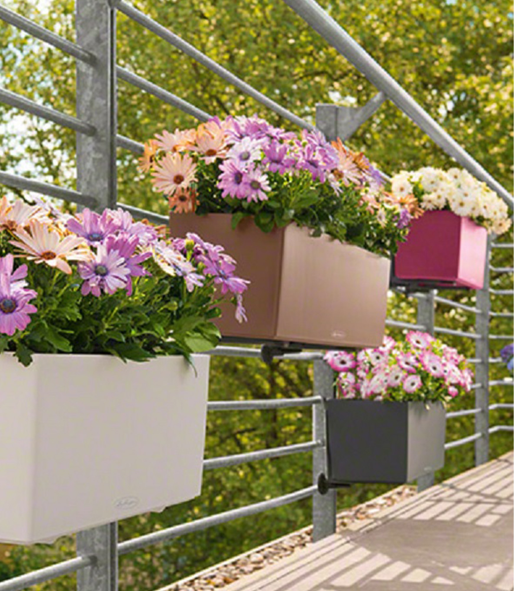 Балконний ящик для квітів Lechuza Balconera Color 80 10 loveliai gelems lechuza 10